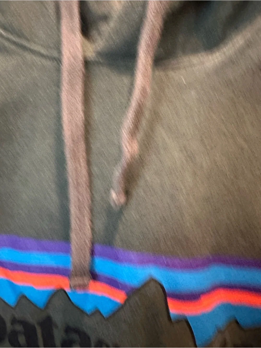 Patagonia - Picture 3 of 12
